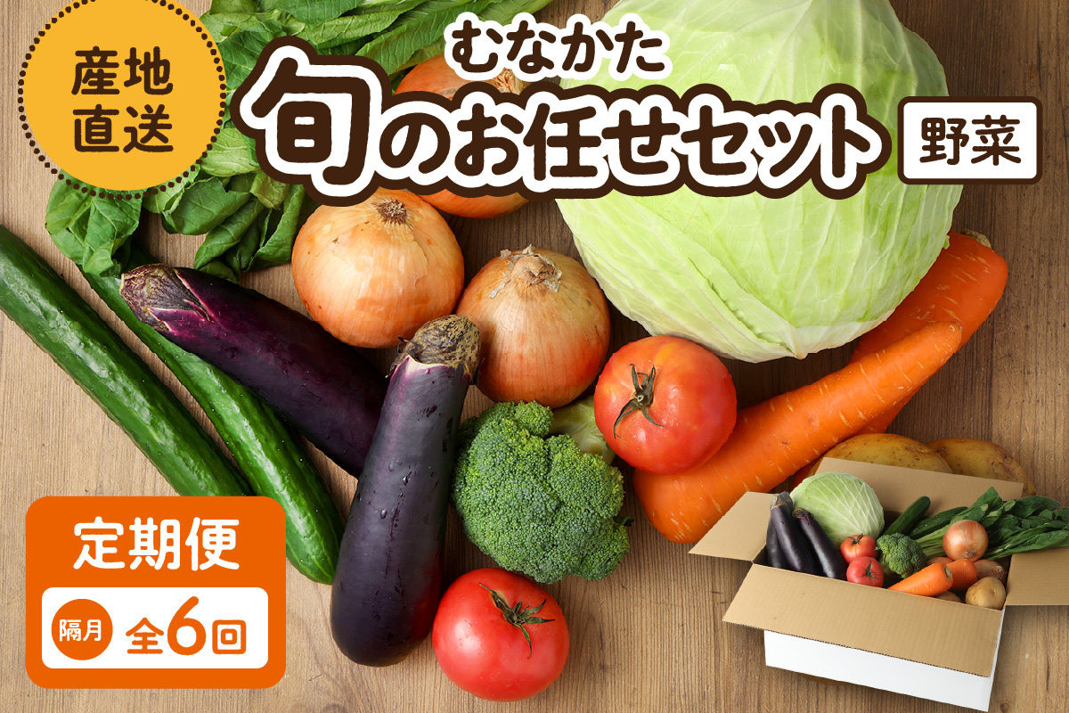 【奇数月お届け】むなかた旬のお任せセット(野菜) 7～9品【ほたるの里】_HB0172