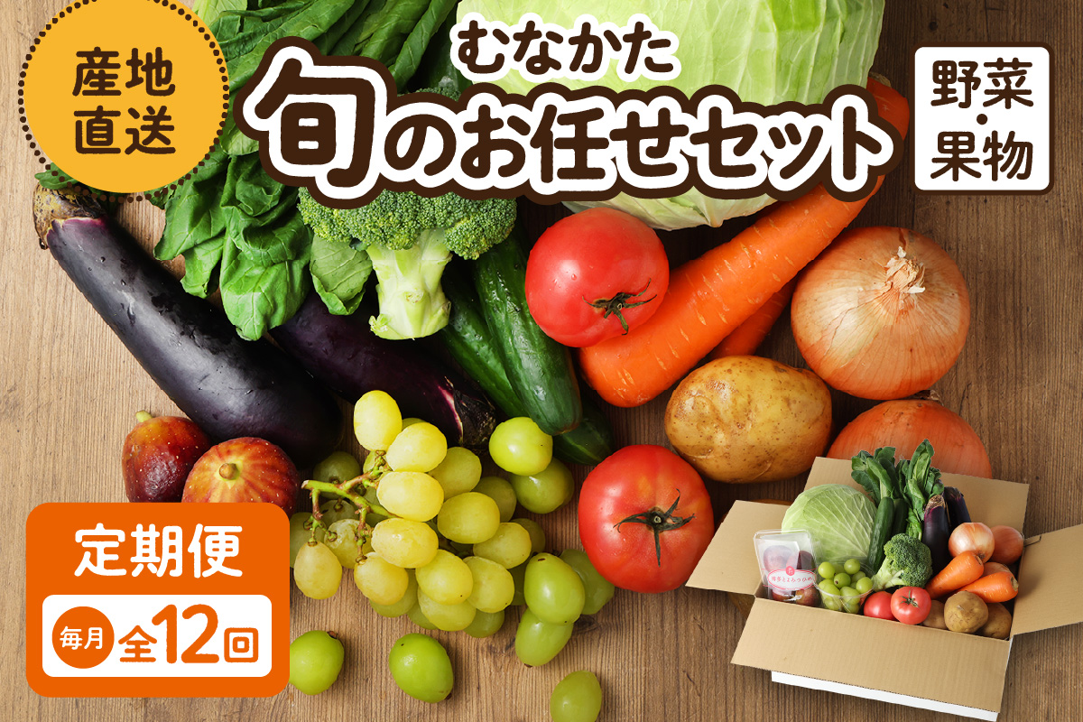【毎月お届け】むなかた旬のお任せセット（野菜・フルーツ）9～11品【JAほたるの里】_HB0175