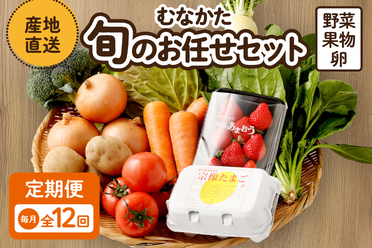 【毎月お届け】むなかた旬のお任せセット（野菜・フルーツ・卵） 9～11品【JAほたるの里】_HB0194