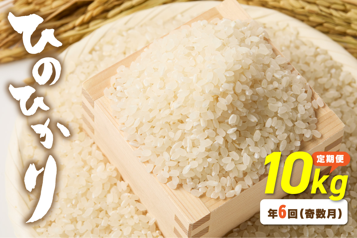 令和7年産 【定期便/年6回】「ひのひかり」10kg【ほたるの里】_HB0198