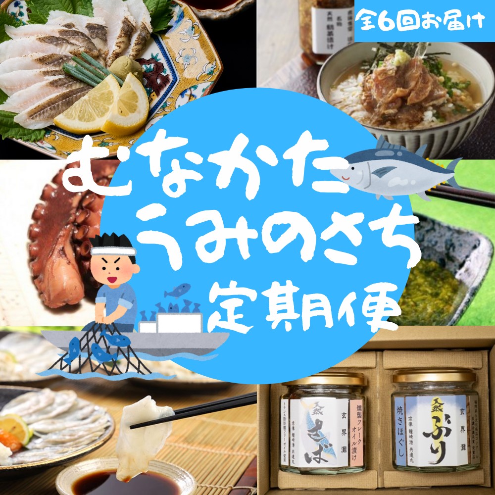 【年6回／偶数月お届け】海のまちから「絶品」海産物をお届け!むなかたうみのさち定期便_HB0200