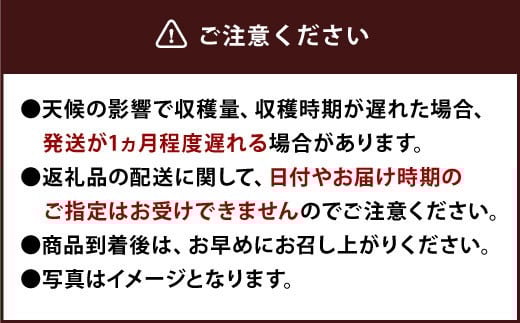 【特別栽培】うるう農園 冷凍あまおう 2kg あまおう イチゴ いちご 苺 フルーツ 果物