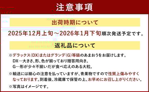 福岡産【冬】 あまおう 2パック いちご 苺 果物 フルーツ 福岡 太宰府