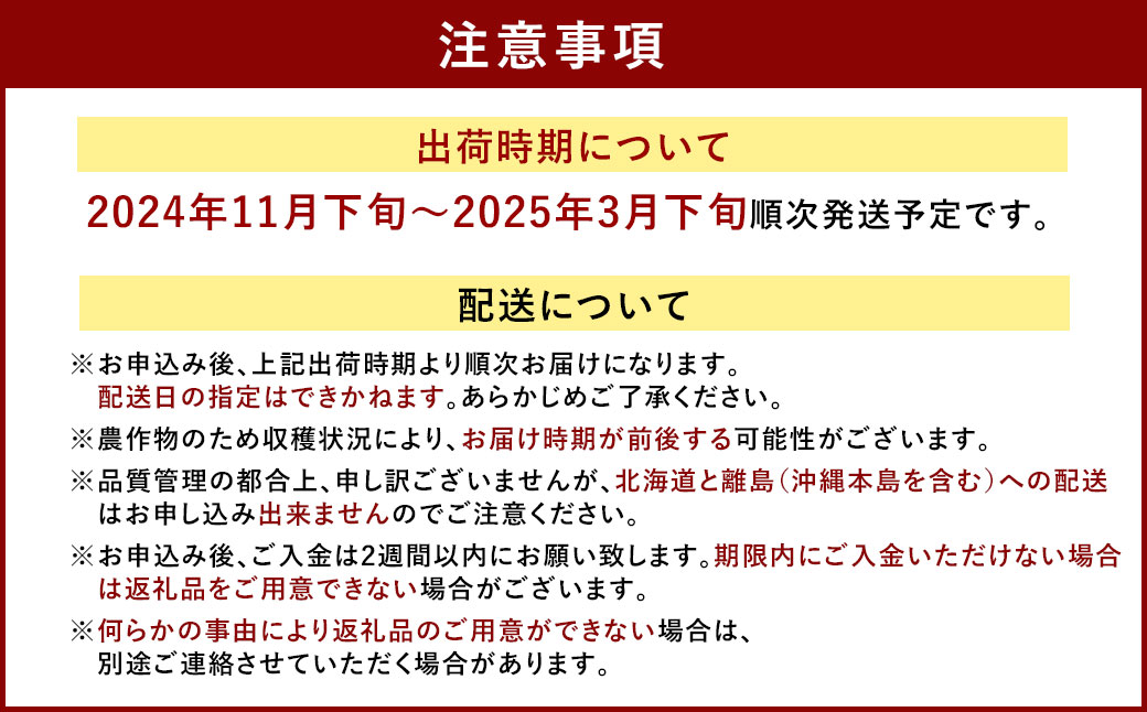 【9月30日で受付終了】福岡県産 あまおう 4パック＆練乳 いちご 苺 フルーツ 国産 セット【2024年11月下旬～2025年3月下旬発送予定】