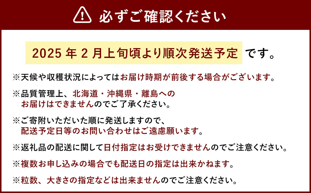あまおう DX 約280g × 4パック 合計約1.1kg【2025年2月上旬～4月上旬発送予定】