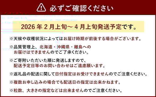あまおう DX 約280g × 4パック 合計約1.1kg