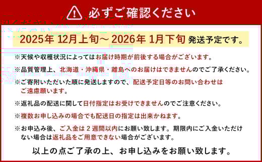 今季初採れあまおう 2パック【数量限定】