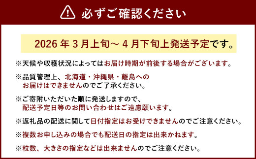 春のあまおう （2L・2A・G規格以上 6パック）【数量限定】