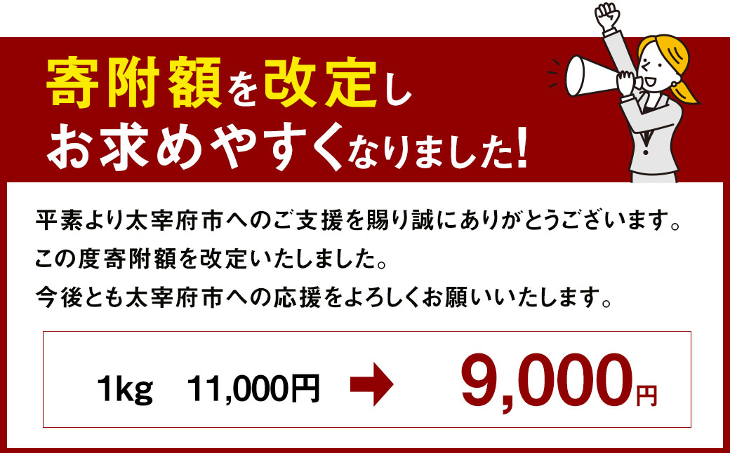 無着色 からし明太子 (切れ子) 小分けタイプ 500g×2袋 計1kg 便利なジッパー付き袋