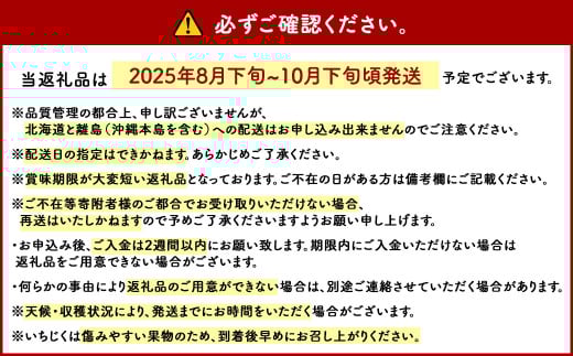 福岡県 ブランド いちじく「博多とよみつひめ」4パック