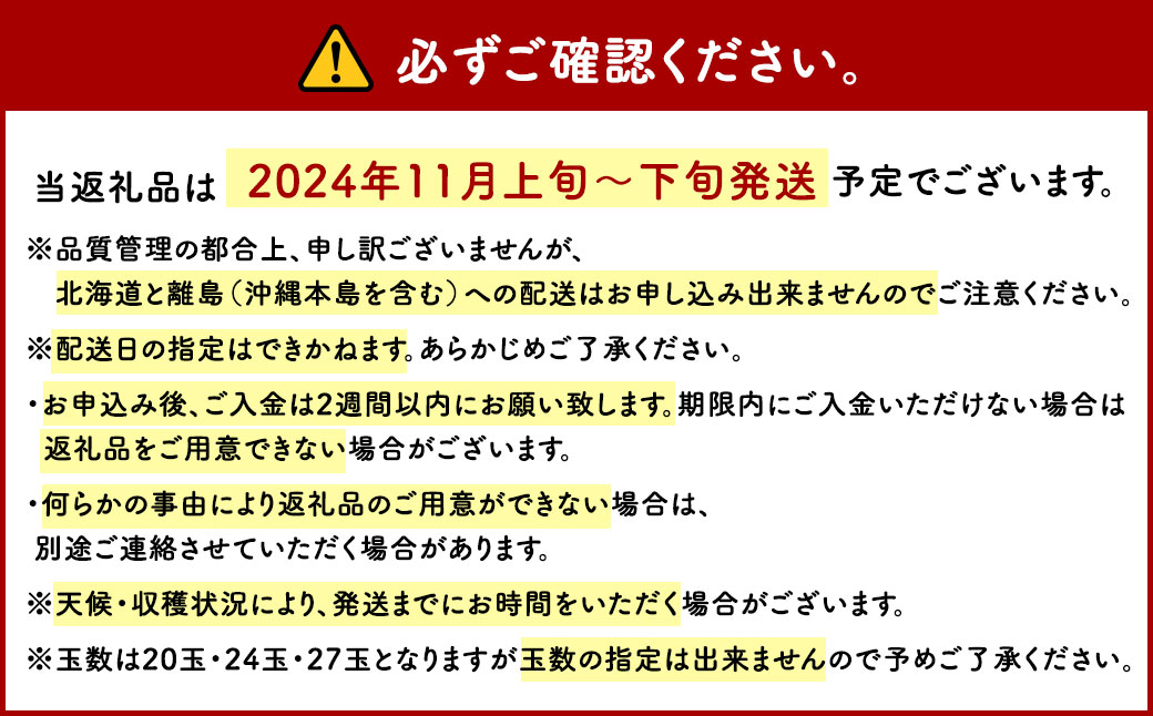 博多 甘うぃ (キウイフルーツ) 約3.6kg キウイ フルーツ 果物 くだもの【2024年11月上旬～下旬発送予定】