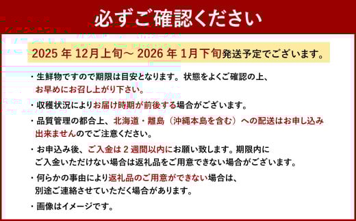 博多あまおう6パック（冬）