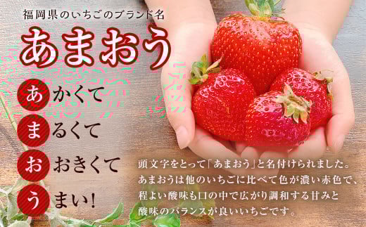 うるう農園 あまおう サイズ色々 6パック