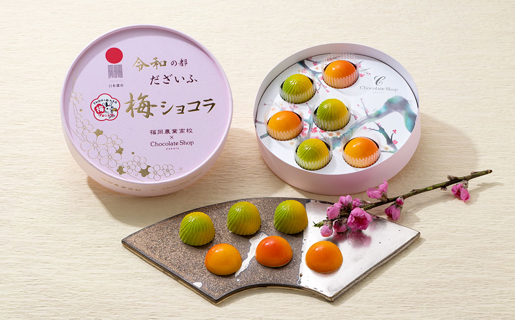 【2024年5月上旬～10月下旬発送予定】梅ショコラ 6粒入り×2箱
