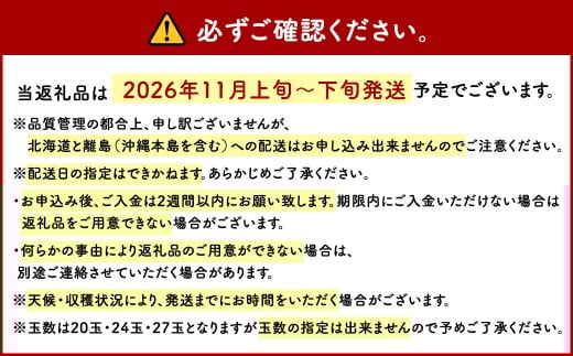 博多 甘うぃ (キウイフルーツ) 約3.6kg キウイ フルーツ 果物 くだもの【2026年11月上旬～11月下旬発送予定】