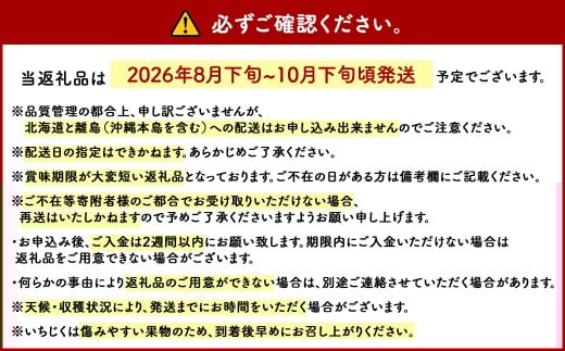 福岡県 ブランド いちじく「博多とよみつひめ」4パック フルーツ 果物 くだもの【2026年8月下旬～2026年10月下旬発送予定】