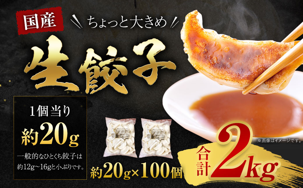 訳あり！ちょっと大きめ 国産 生餃子 (ラー麦使用) 100個 2kg ＆ 辛子明太子 小切り 300g セット ぎょうざ ギョウザ めんたいこ 冷凍