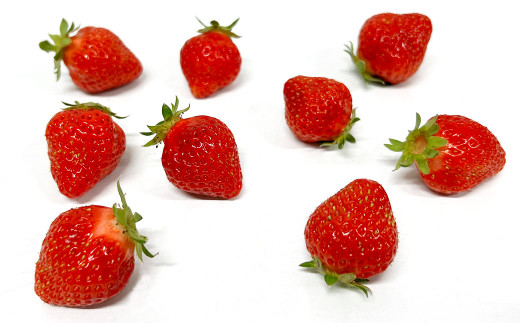 【1月～2月発送】【訳あり・小粒】 あまおう 約280g×4パック 約1120g【2026年1月上旬～2026年2月下旬発送予定】いちご イチゴ 苺 フルーツ