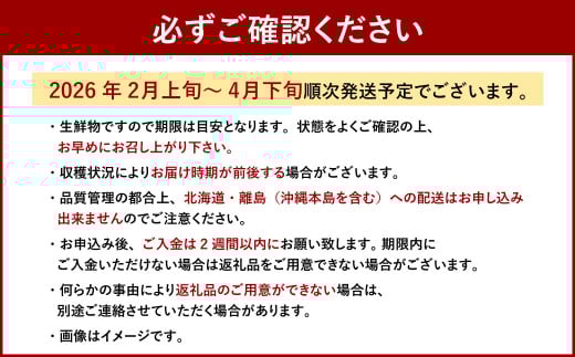 博多 あまおう 4パック（春）【2026年2月上旬～4月下旬発送予定】