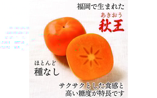 秋のフルーツの王様 ブランド柿 「 秋王 」 化粧箱 約1.75kg 6個入り【2026年10月下旬～11月下旬発送予定】