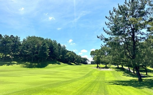 太宰府ゴルフ倶楽部 ゴルフ利用券 30,000円分 ／ ゴルフ ゴルフ場 ゴルフ場利用券 チケット 券 ゴルフプレー スポーツ 九州 福岡県 太宰府市