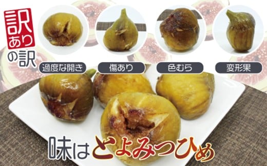【訳あり】 冷凍いちじく 「とよみつひめ」 2kg （500g×4袋） ／ いちじく イチジク 果物 果実 フルーツ 冷凍フルーツ 冷凍