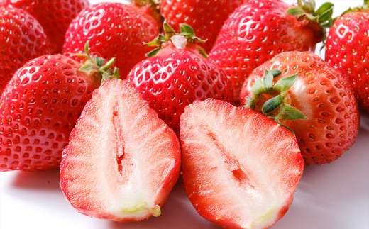 【3月～4月発送】いちごの王様 あまおう 約280g×4パック 約1120g【2026年3月上旬～2026年4月上旬発送予定】 いちご イチゴ 苺 フルーツ