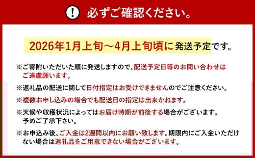 福岡県産 あまおう 約280g×2パック