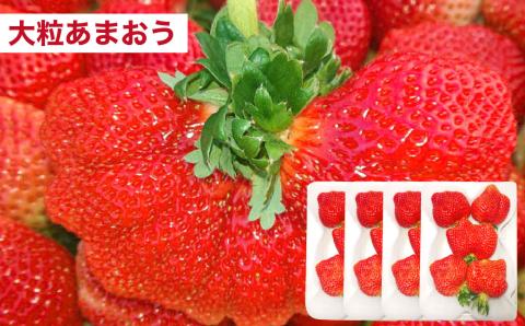 【2024年2月上旬より発送開始】【予約受付・4回定期便】あまおう大好き定期便 合計約3.8kg あまおう あまおうジェラート あまおうレアチーズケーキ フルーツ 果物