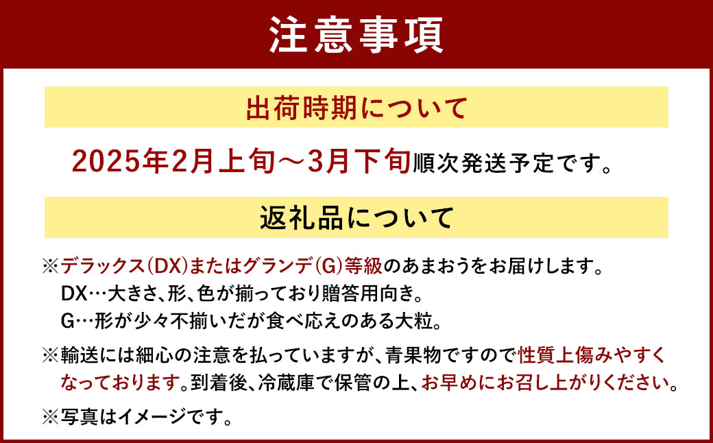 福岡産【春】あまおう3パック いちご フルーツ デザート【2025年2月上旬～3月下旬発送予定】