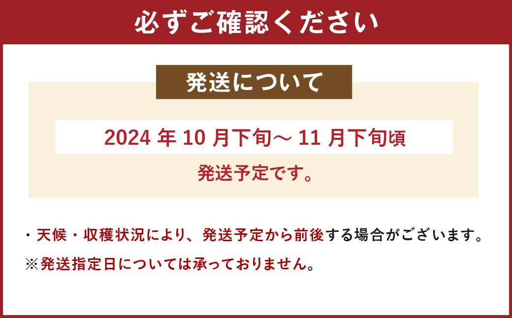 福岡県産 ブランド柿 秋王 約3kg （8-12玉） かき 柿 フルーツ 果物 国産【2024年10月下旬～11月下旬発送予定】