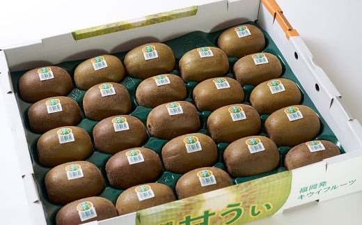 福岡県産 ブランドキウイ 甘うぃ 約1.5kg （12-15玉）キウイ キウイフルーツ フルーツ 果物 国産【2024年10月下旬～11月下旬発送予定】