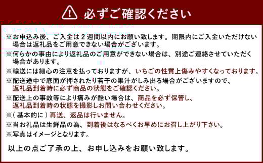 あまおう DX 約280g × 4パック 合計約1.1kg