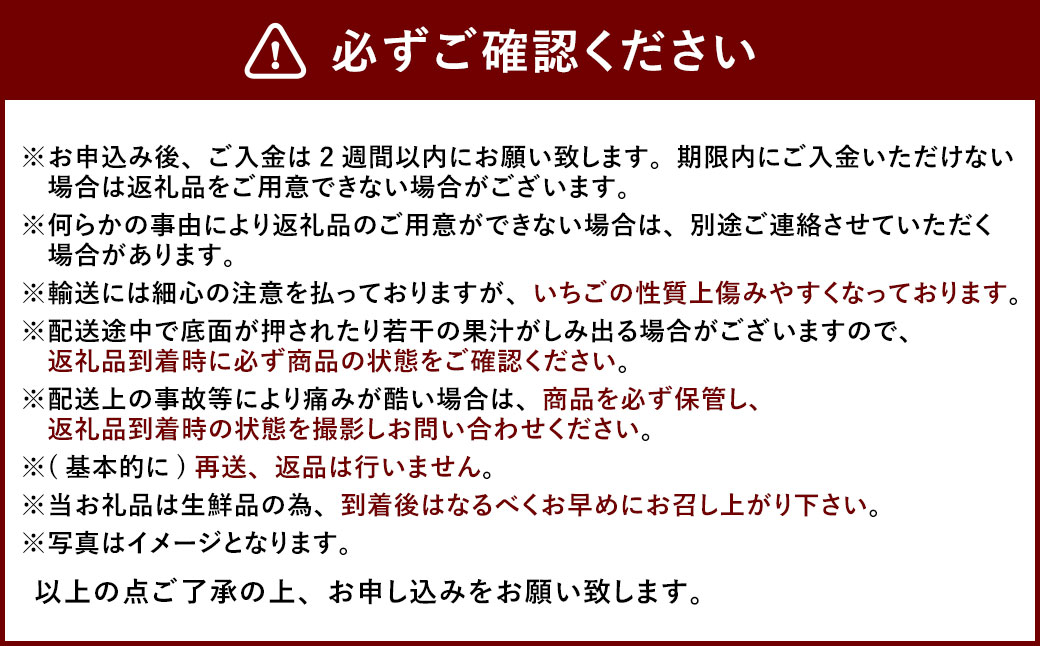 【3回定期便】あまおう 3パック いちご 苺 イチゴ フルーツ 果物【2025年1月下旬～3月下旬発送予定】