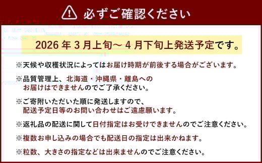 春のあまおう（2L・2A・G規格以上 4パック）