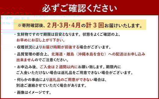 【3回定期便】博多あまおう2パック
