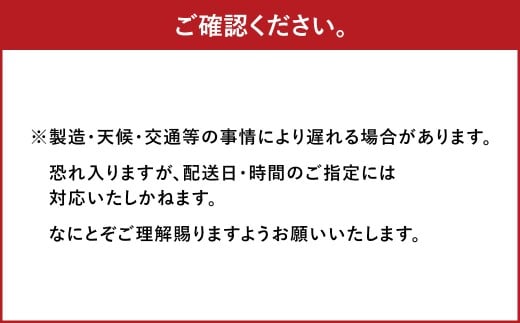 【3ヶ月定期便】一蘭ラーメン生麺セット（6食）生麺周年祭定期便 一蘭 ラーメン 生麺 麺 豚骨 詰め合わせ
