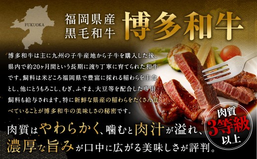 博多和牛 ステーキ （ヒレ） 6枚 （計約900g） ＋ 佐賀牛 切り落とし 400g ／ 黒毛和牛 黒毛和種 和牛 牛肉 お肉 肉 ヒレ肉 セット 国産 九州 福岡県 太宰府市 冷凍