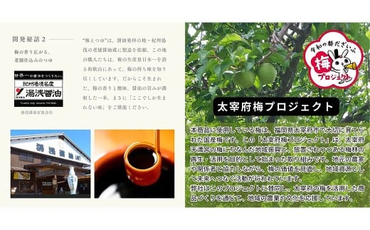 太宰府産梅酢使用 「梅えつゆ」 ／ 麺つゆ つゆ 梅 調味料 梅酢 柚子果汁 白醤油 九州 福岡県 太宰府市 常温