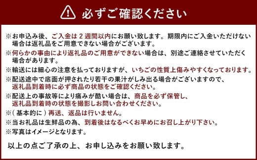 大粒あまおう 約250～270g × 2パック （計500～540g） 【2026年2月上旬～4月上旬発送予定】 あまおう 苺 いちご イチゴ くだもの 果物 フルーツ 国産 福岡県産 福岡県 太宰府市 冷蔵
