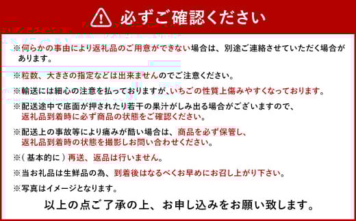 今季初採れあまおう 2パック【数量限定】
