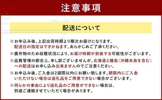 福岡産【春】 フルーツ専門店が選んだ あまおう 4パック いちご 苺 果物 フルーツ 福岡 太宰府【2026年2月上旬～3月下旬発送予定】