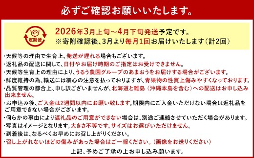 【2回定期便】 うるう農園のあまおう サイズ色々6パック （計約1710g） 【2026年3月上旬～4月下旬発送予定】 あまおう いちご 苺 果物 フルーツ 定期便 冷蔵 福岡県 太宰府