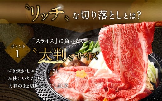 【2025年9月初登場】 佐賀牛 リッチな霜降り 大判 切り落とし 1kg （500g×2） ／ 黒毛和牛 黒毛和種 和牛 牛肉 お肉 肉 霜降り 九州 福岡県 太宰府市 冷凍