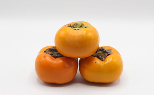 福岡県ブランド柿「秋王」約1.2kg 3Lサイズ4玉入り【2026年10月下旬～11月下旬発送予定】柿 かき カキ フルーツ 果物