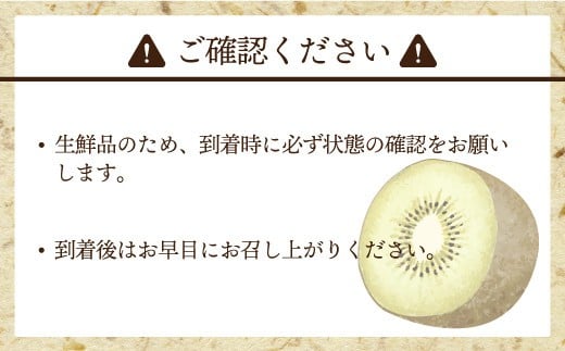福岡県ブランドキウイフルーツ「 博多甘うぃ 」 化粧箱 大玉 9玉 約1.4kg 【2026年11月上旬～11月下旬発送予定】