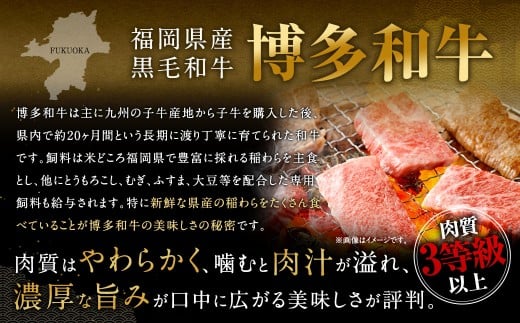 博多和牛 焼肉用 500g ＋ 佐賀牛 切り落とし 400g 計900g（計2パック） 牛 和牛 牛肉 お肉 肉 にく 切落し 赤身 肩肉 バラ肉 冷凍
