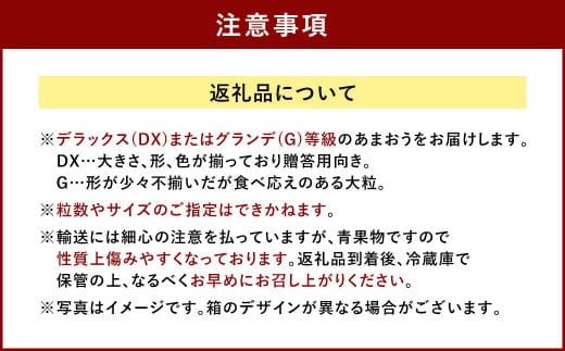 【9月30日で受付終了】福岡県産 あまおう 4パック＆練乳 いちご 苺 フルーツ 国産 セット【2024年11月下旬～2025年3月下旬発送予定】