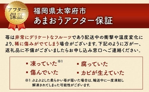 うるう農園のあまおう 4パック ＋ 1パック 合計5パック（約1425g） 訳あり あまおう （小粒・いびつ・大型） 【2026年3月上旬～4月上旬発送予定】 苺 いちご イチゴ 果物 フルーツ デザート 冷蔵