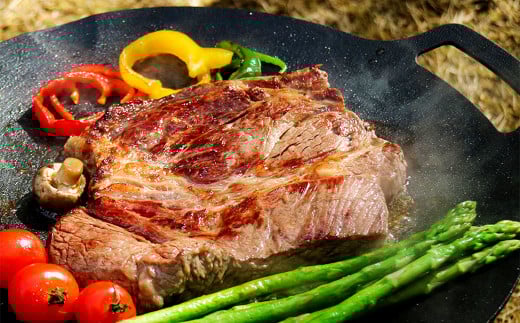 鉄板マルチグリドル 33cm （フラットタイプ） ／ 収納ケース付き マルチグリドル マルチグリドルパン グリルパン マルチグリル 丸形 鉄板 グリルプレート 福岡県 太宰府市